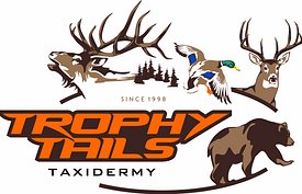 Trophy Tails Taxidermy